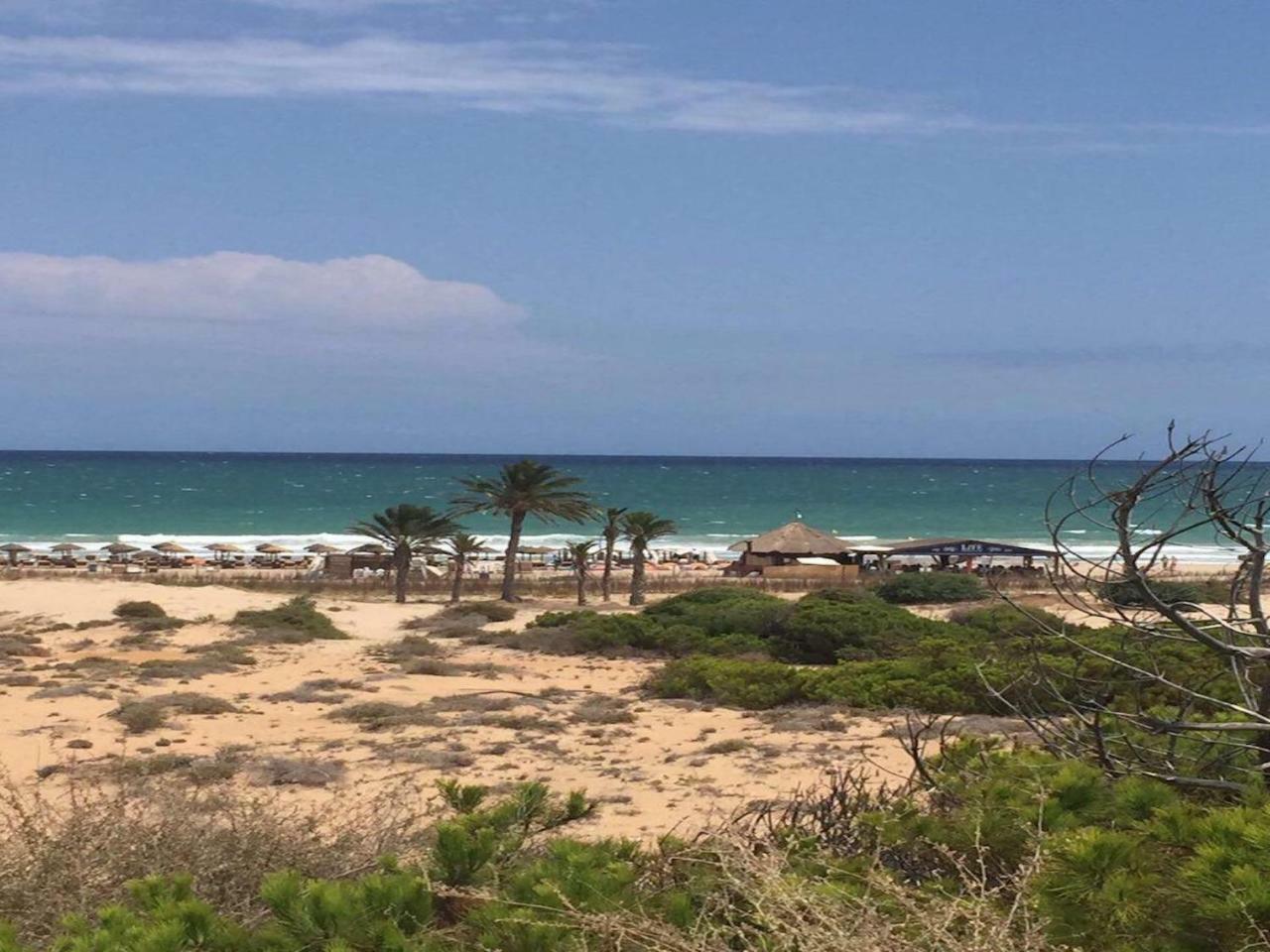 Arenales Del Sol Lägenhet Exteriör bild